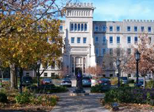 Bradley University